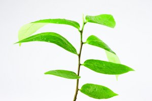 方案如何影响你的工作效率