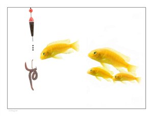 工具深度解析：原理与应用